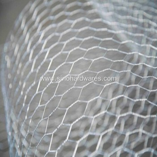 Hot Dipped Galvanized Poultry Netting